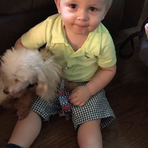 Meet your Posher, Sue